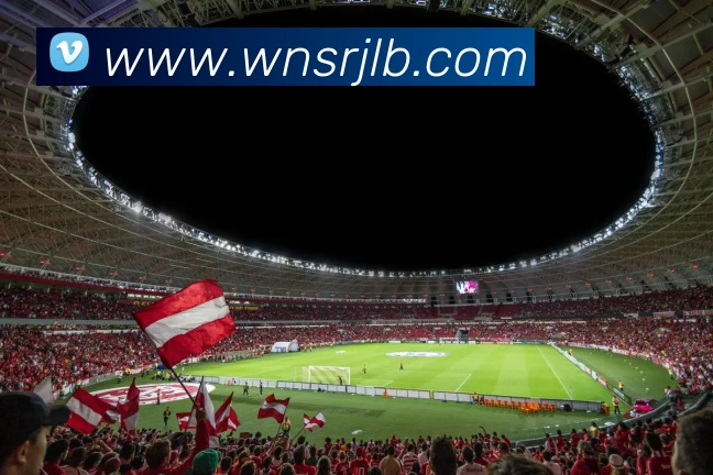 多媒体互动体验